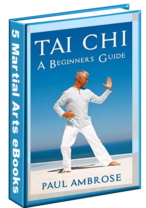 5 Martial Arts eBooks